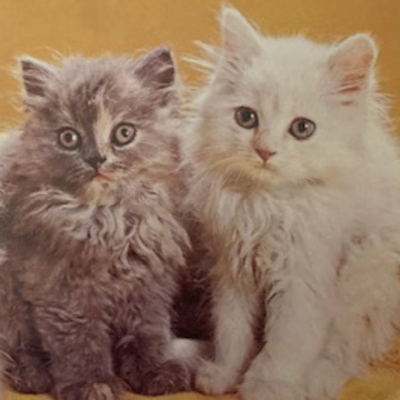 Vintage Compact - Picture 5 of 5